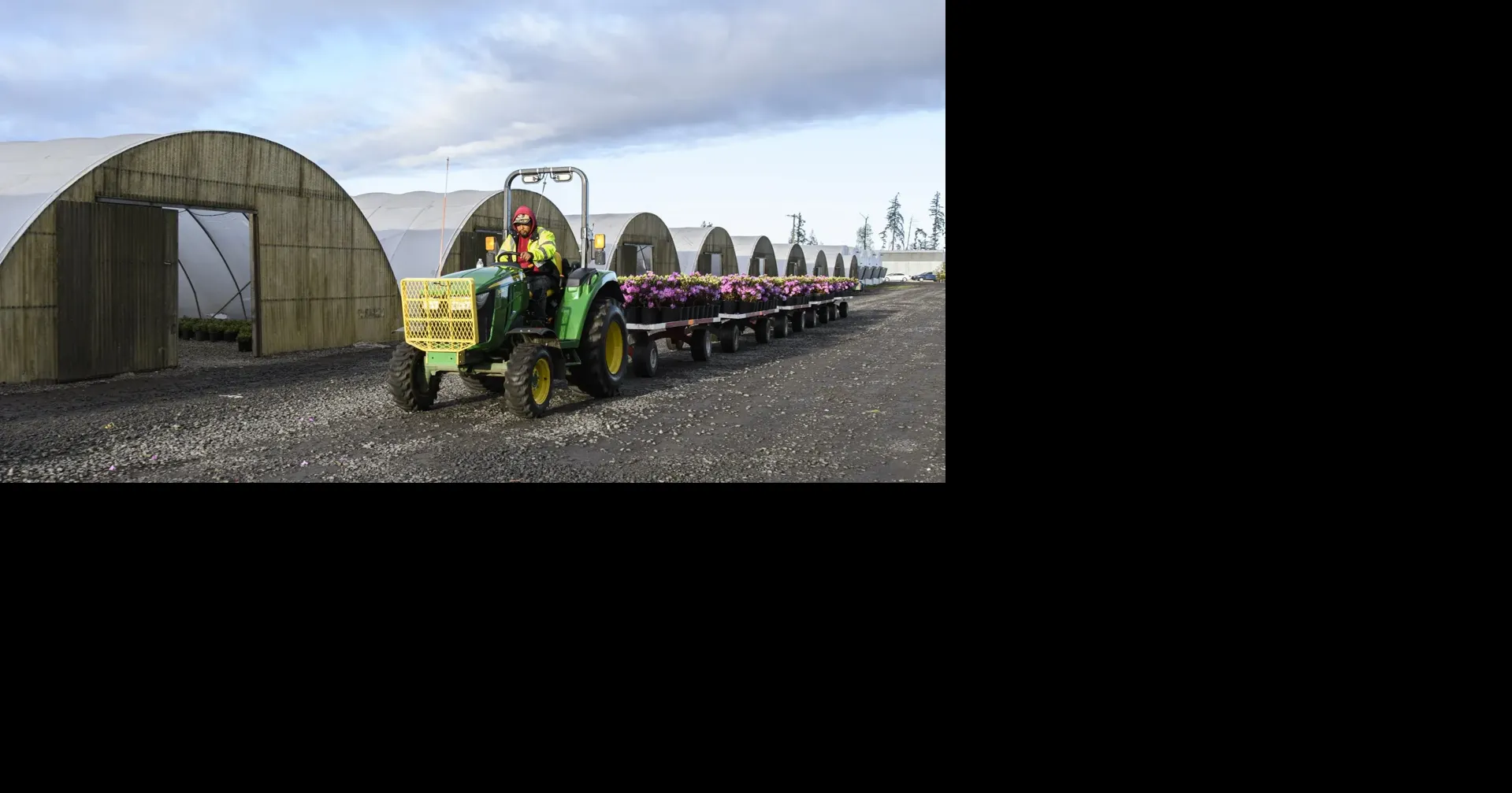 69e653736dfed.image.webp?crop=1919,1007,