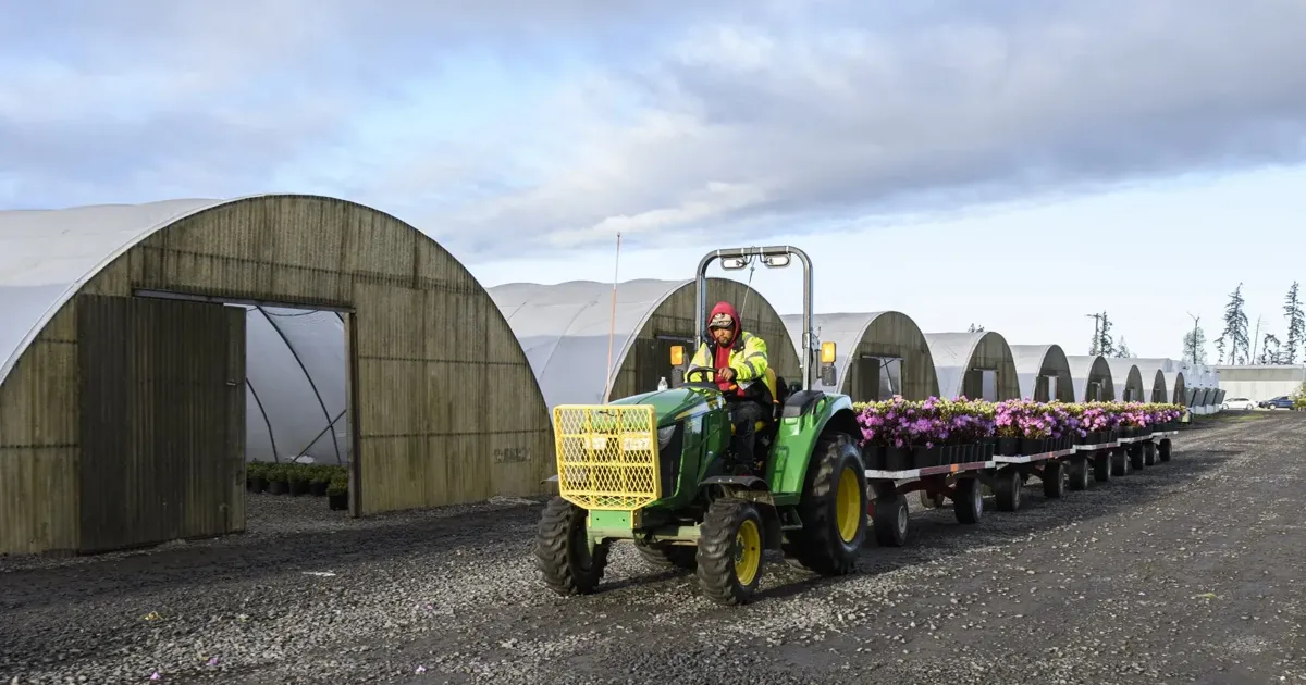 69e653736dfed.image.webp?crop=1919,1007,