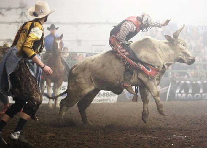 Prophet wins bull riding event at fairgrounds | Sports | nrtoday.com
