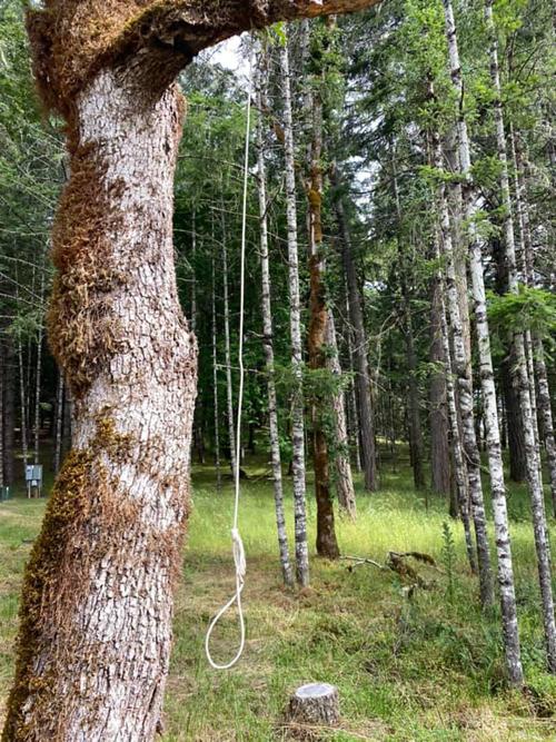 Dcso Opens Case For Potential Hate Crime News Nrtoday Com Over the time it has been ranked as high as 118 305 in the world, while most of its traffic comes from usa, where it reached as high as 14 632 position. dcso opens case for potential hate