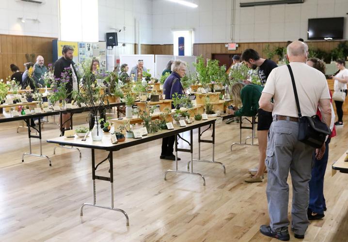 Glide Wildflower Show guests for 57th year News
