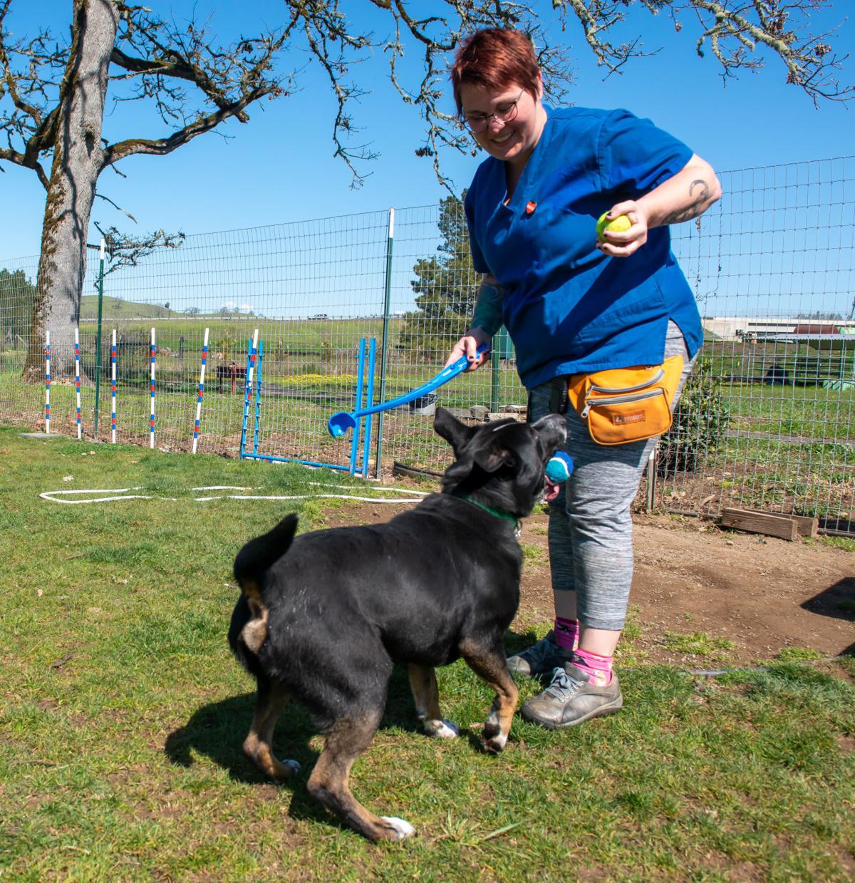 Saving Grace Pet Adoption Center Reopens With New Guidelines To Keep Staff Visitors Safe Amid Coronavirus Coronavirus Nrtoday Com
