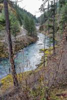 A change of plans: Hiking the Calf segment of the North Umpqua Trail