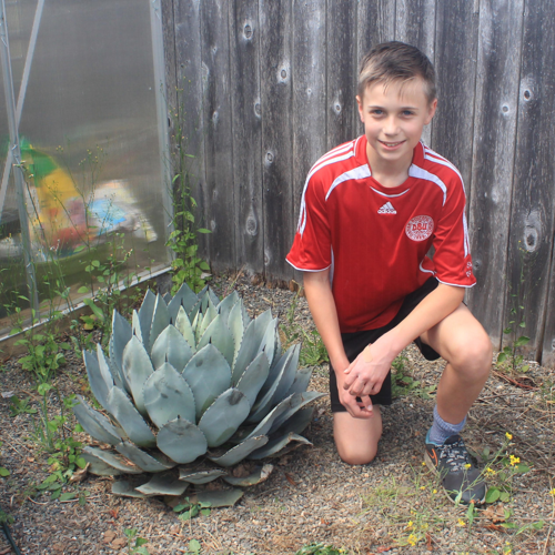 Kale's killer cactus | Education | nrtoday.com