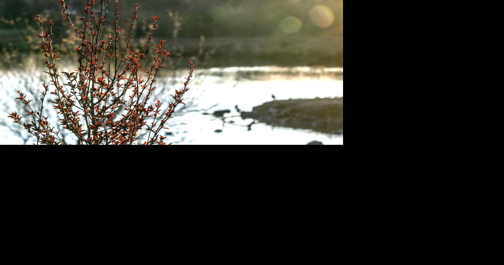 Fremont Future Business Leaders help spruce up duck pond Education