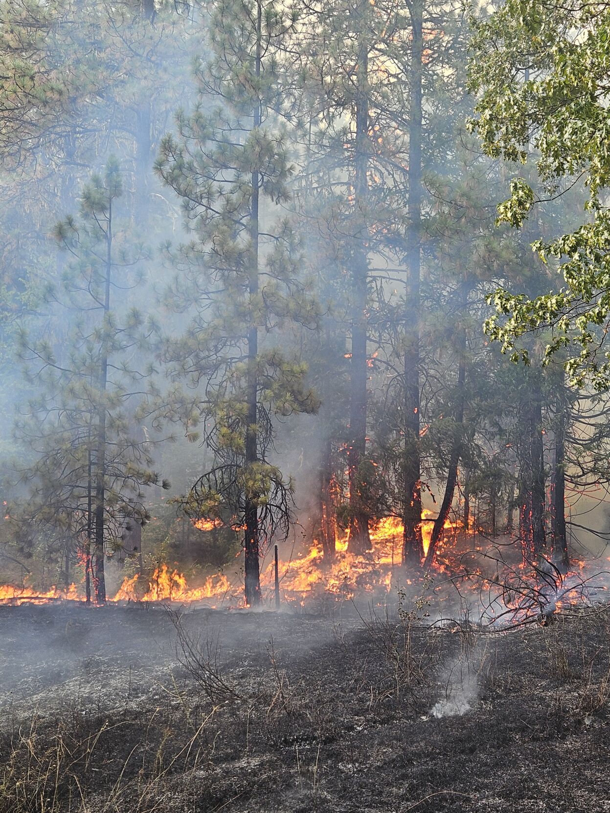 Two new wildfires start in south Douglas County | Local News | nrtoday.com