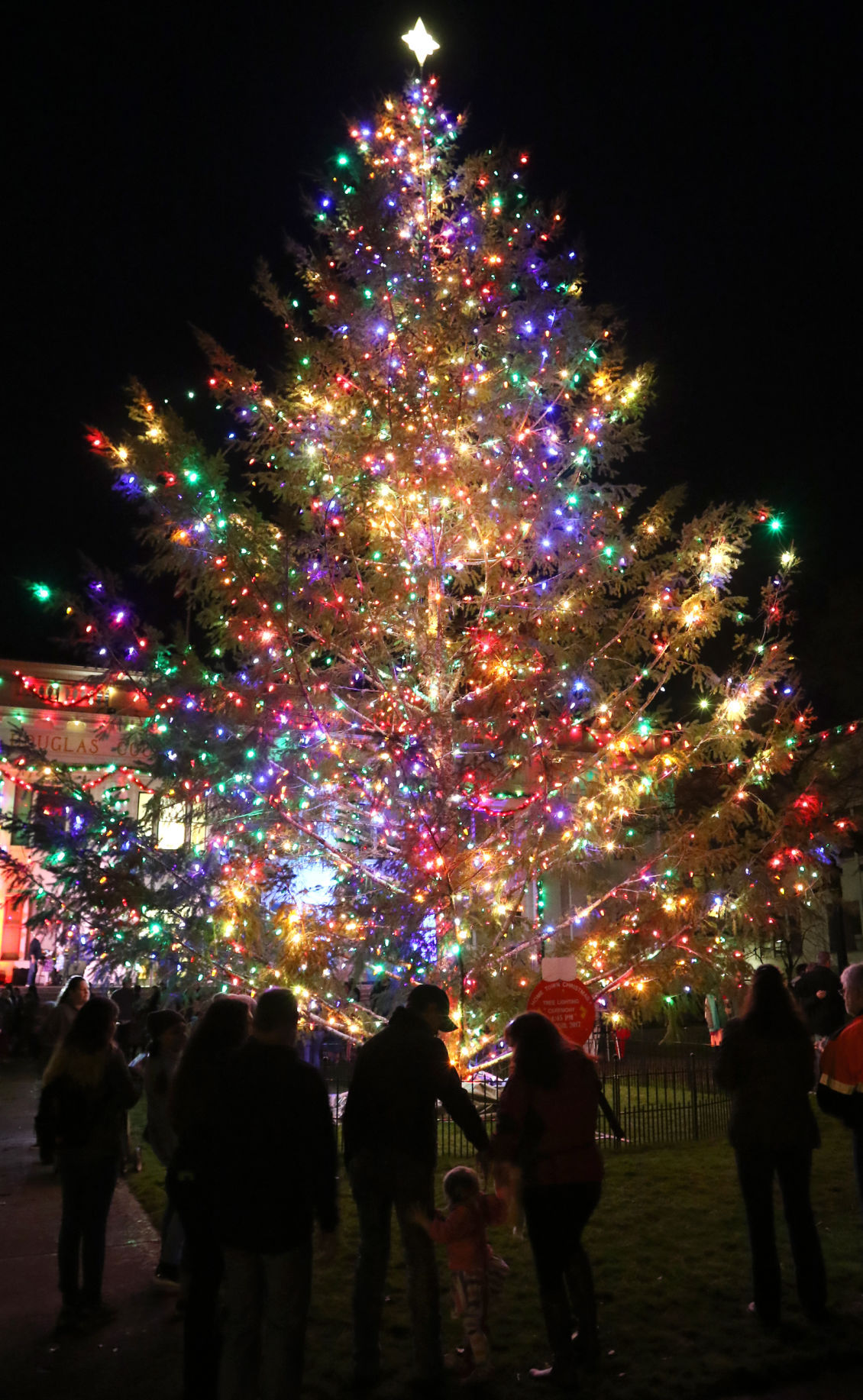 Hundreds share in holiday spirit at the Hometown Christmas Tree