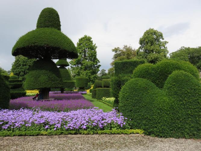 Fanciful foliage: Topiaries bring creativity to your garden, News