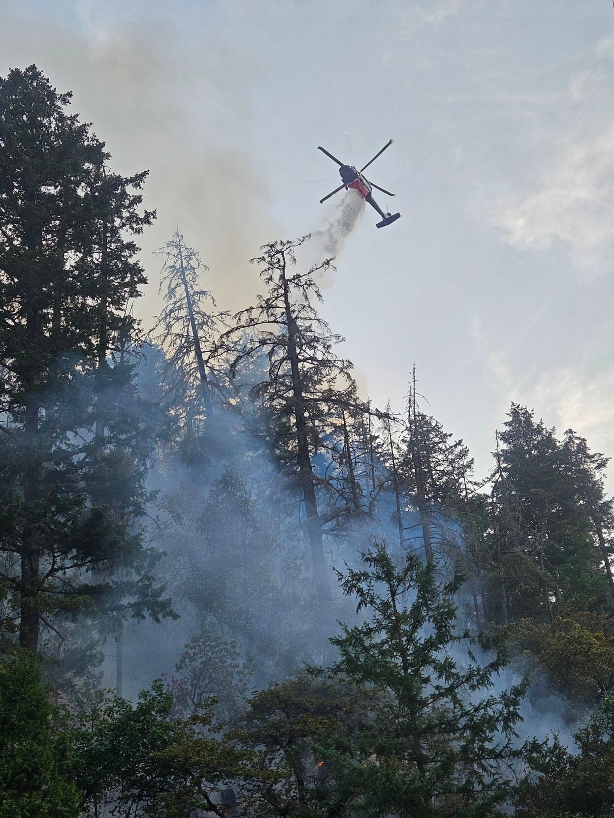Two new wildfires start in south Douglas County | Local News | nrtoday.com