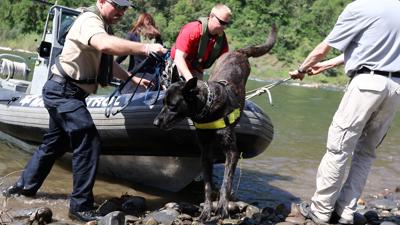 K 9 Training Conference Rolls Into Canyonville Public Safety Nrtoday Com