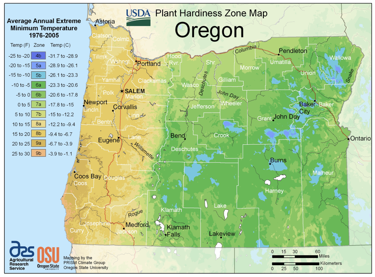 Oregon Hardiness Zone Map_USDA.png