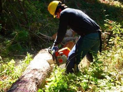 Safe Chainsaw Operation Nrtoday Com
