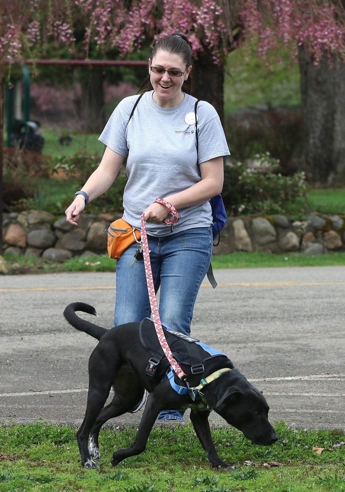 Saving Grace sends adoptable dogs on field trips | Douglas County