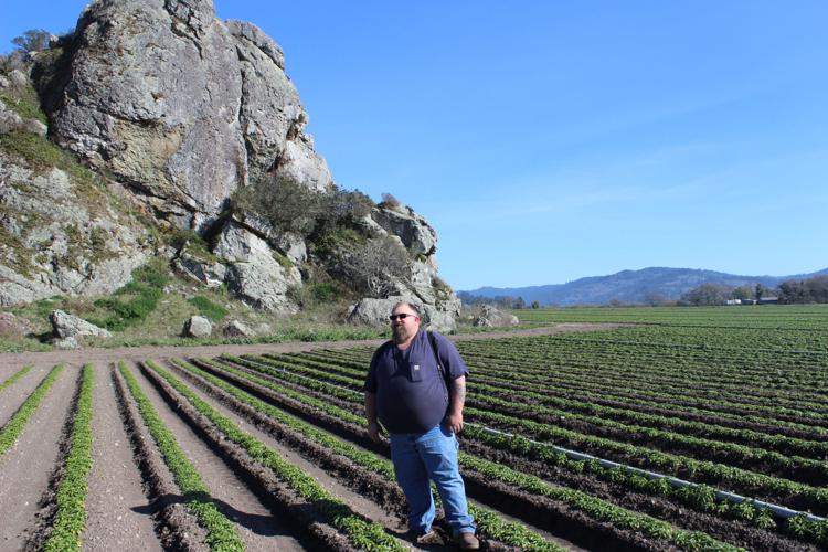 Are lilies losing their luster? Agriculture