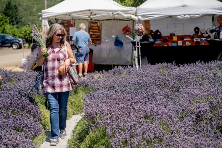 Lavender Festival facilitates flowering festivities | News | nrtoday.com
