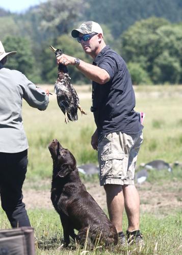 210620-nrr-retrievers-01