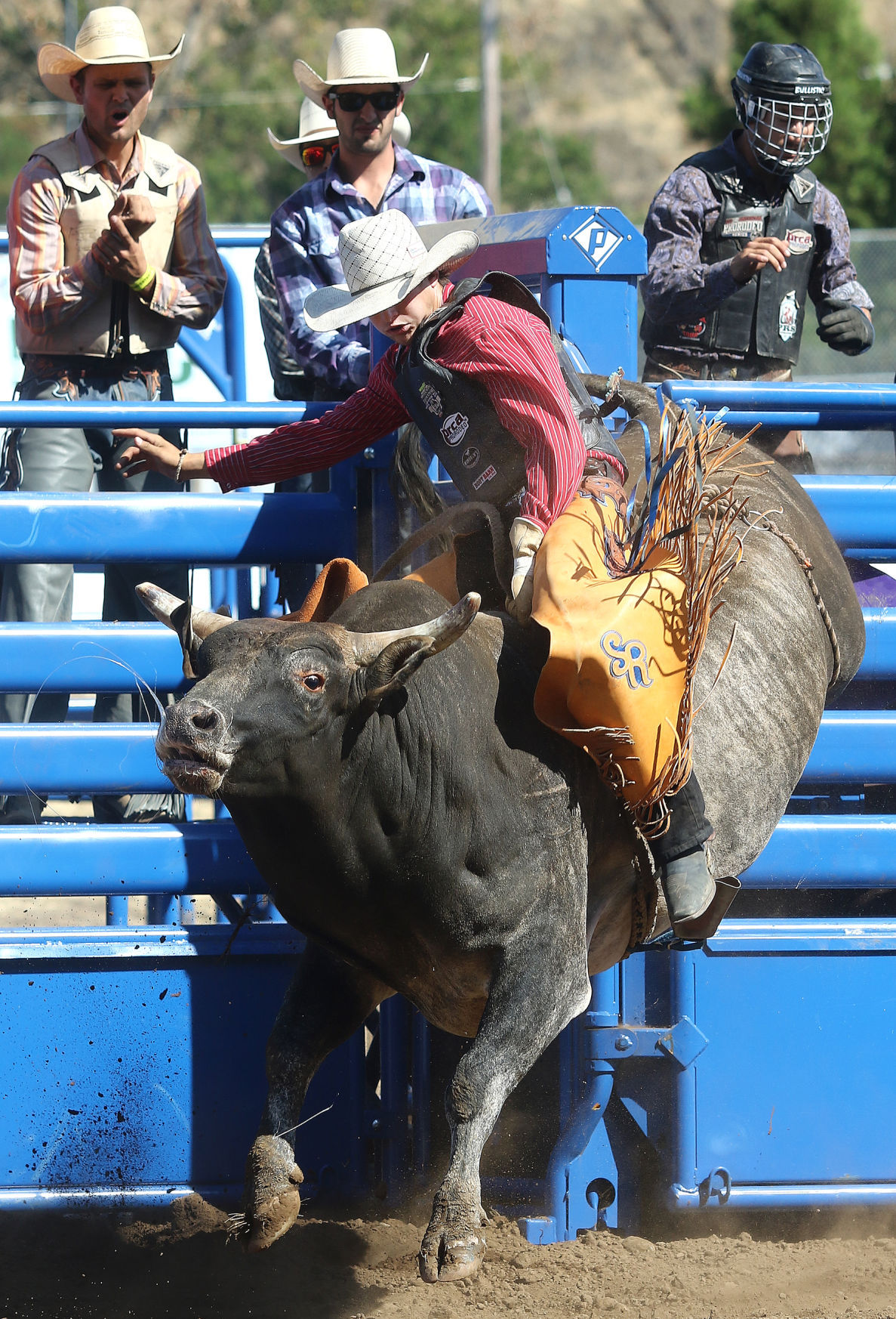Bobby Vaughan Jr. wins bull riding at Douglas County Fair Sports