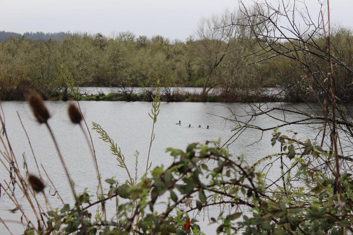 Yoncalla aims to showoff its good side Yoncalla