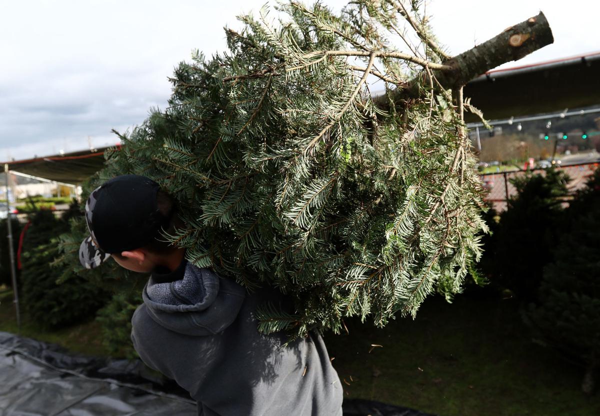 Christmas tree lots shoppers Roseburg