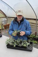 Horticultural Extension Agent Steve Renquist to retire