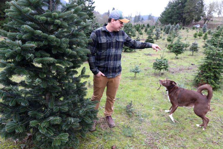 Local Christmas tree farms see success despite market shortage, drought ...