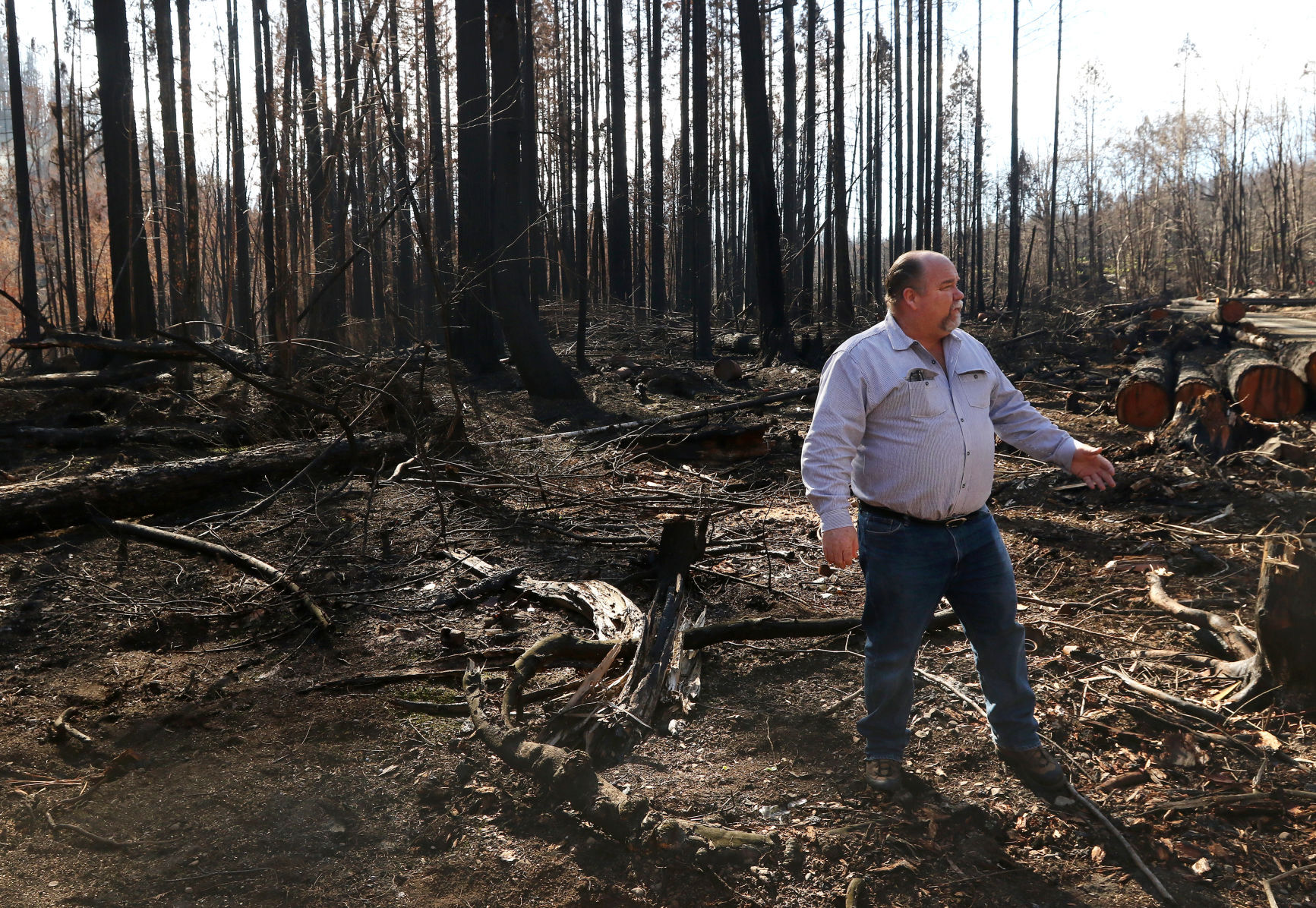 BLM rule change makes salvage logging easier - Vimarsana News
