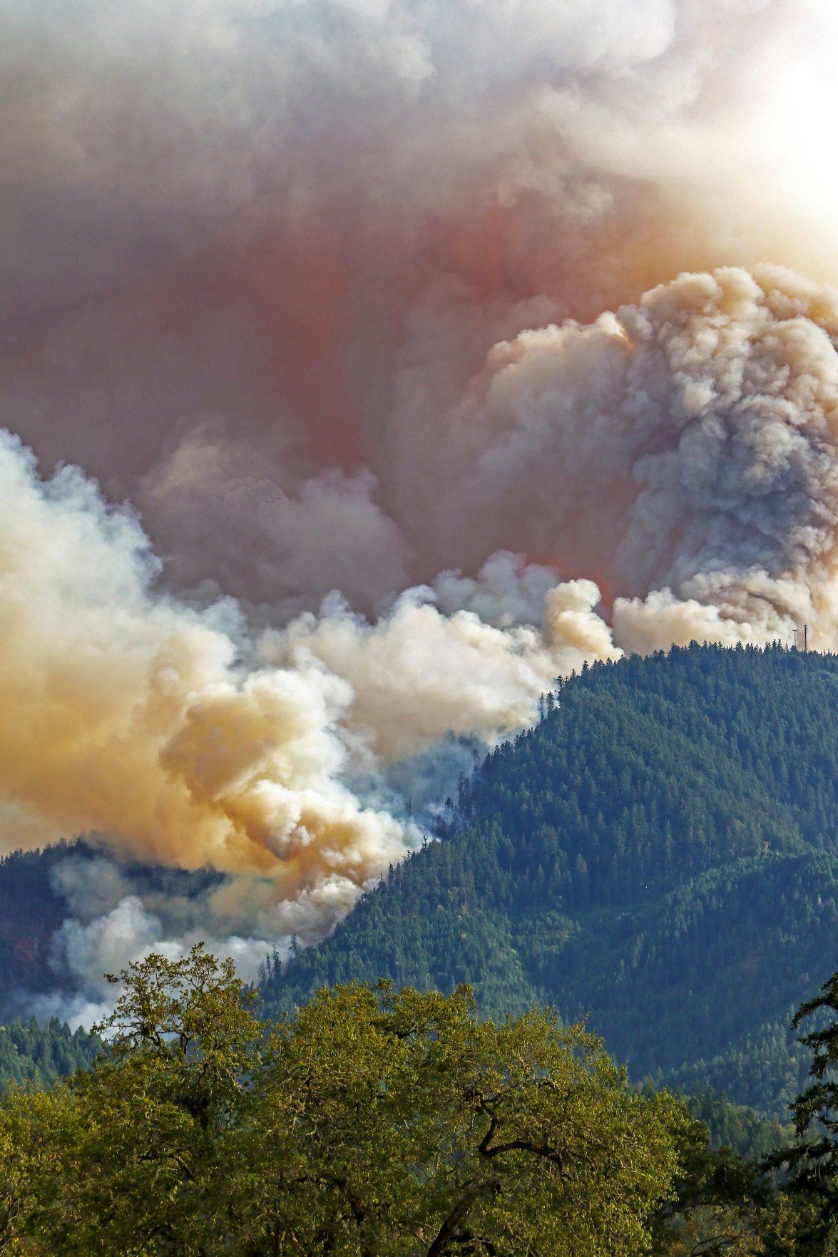 Milepost 97 Fire near Canyonville doubles in size overnight Wildfires