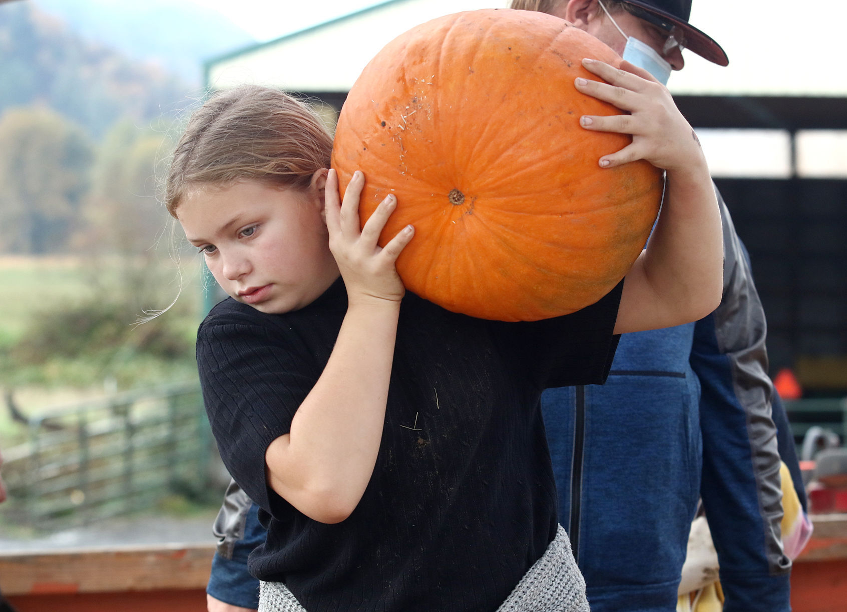 pumpkin patch roseburg oregon