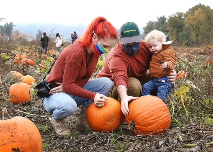 Kruse Farms to close, up for sale Roseburg