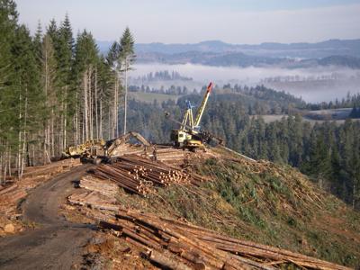 Wood Products Declared Essential Coronavirus Nrtoday Com