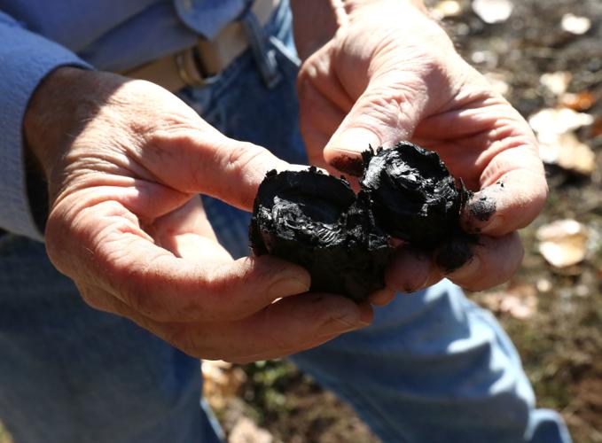 Making biochar to benefit the soil Roseburg