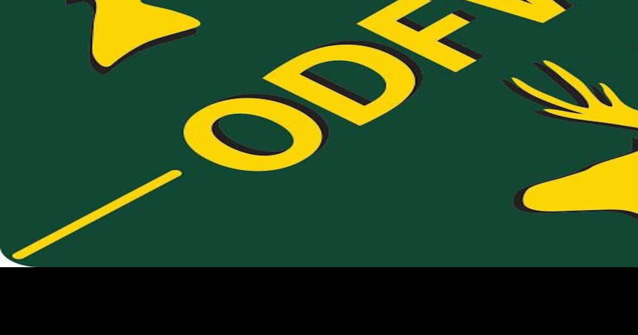 6accdfbf81c25.image.jpg?crop=1280%2C672%2C0%2C304&resize=1200%2C630&order=crop%2Cresize