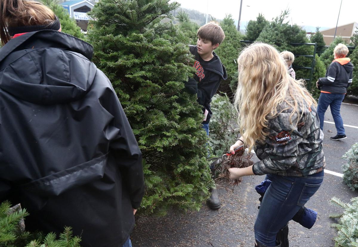 Christmas tree lots shoppers Roseburg