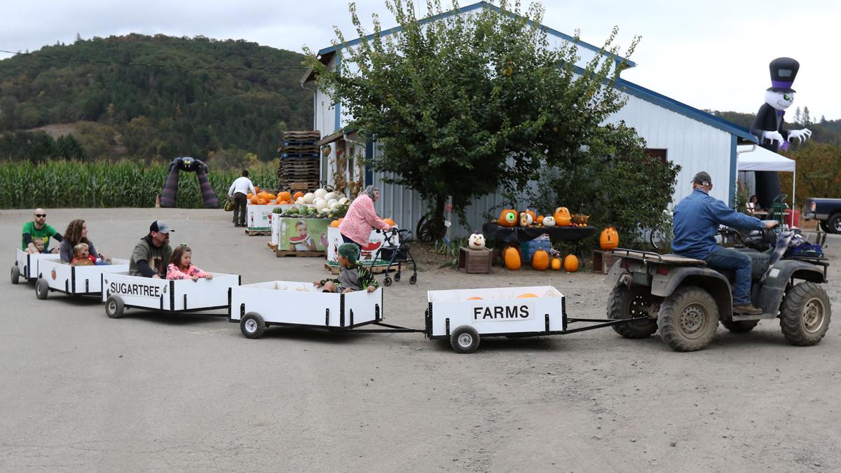 Brosi's fall festival provides family fun for all ages News