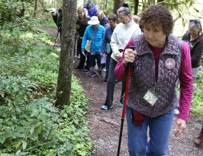 Glide Wildflower Show goes virtual for 2021 Glide