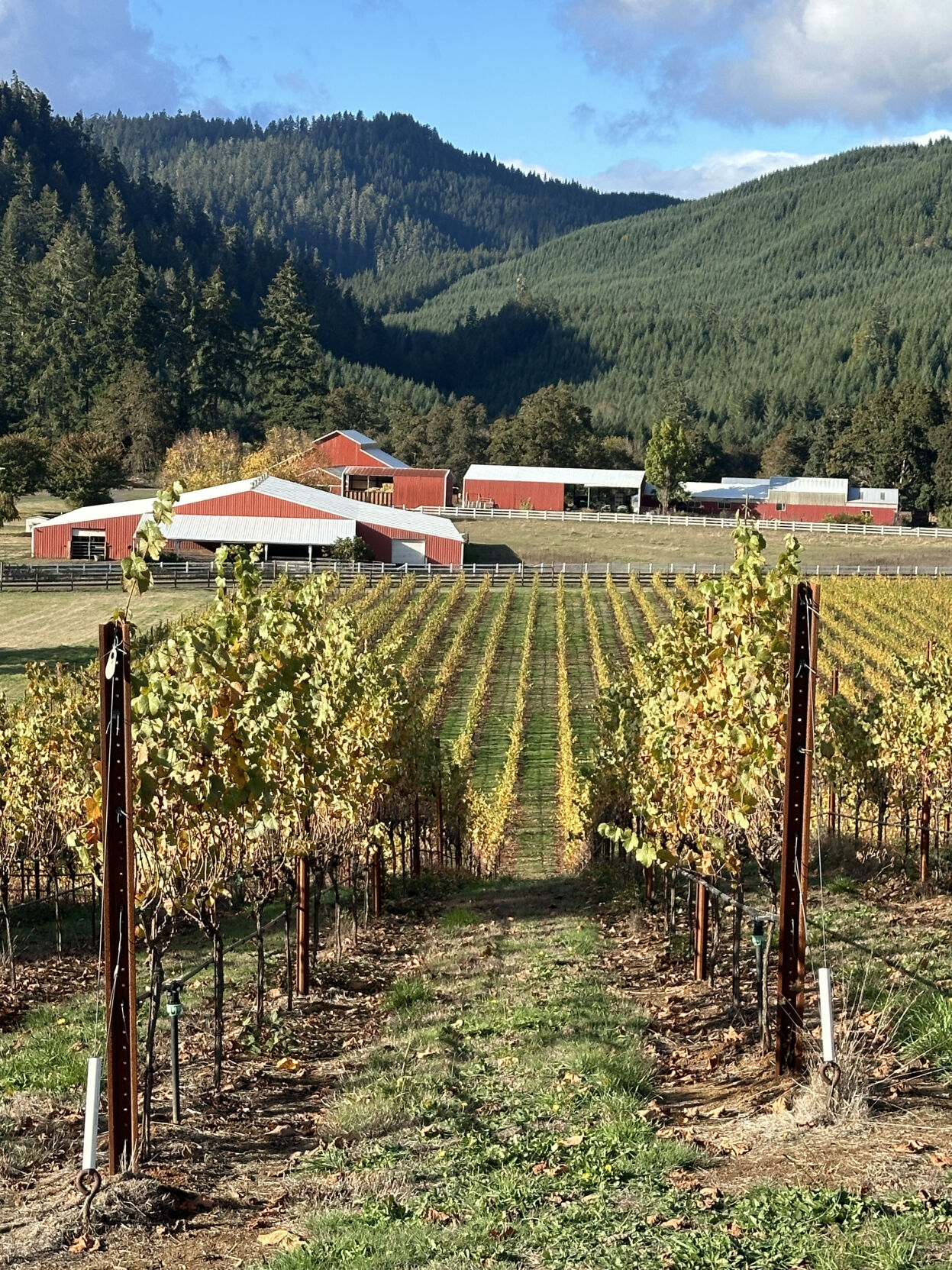 Balance Leslie Beckley begins a new chapter in life Business