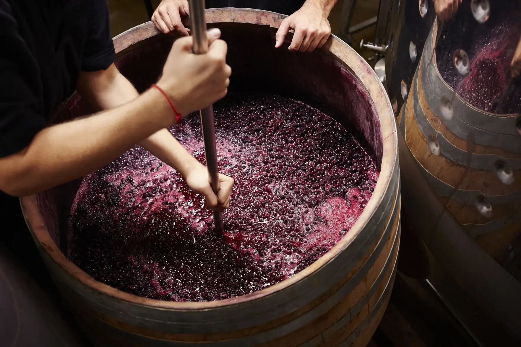 Rooted in Story: The Oregon Wine History Archive Visits Umpqua Valley