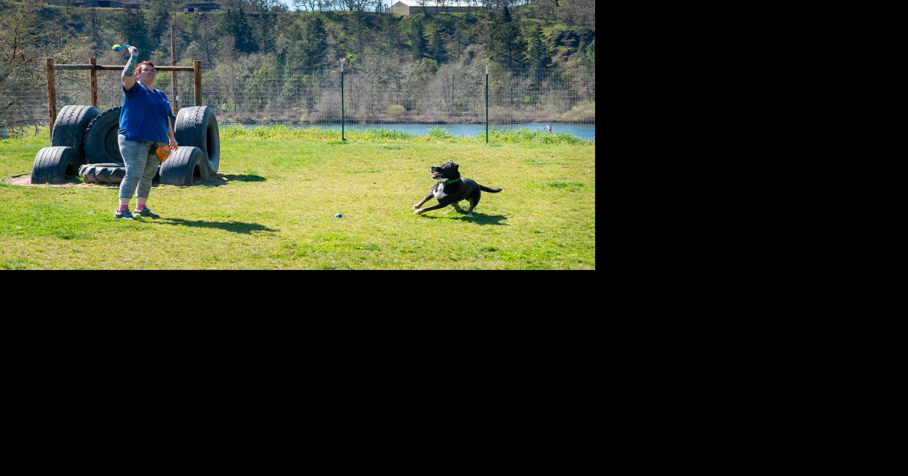 Saving Grace Pet Adoption Center reopens with new guidelines to keep