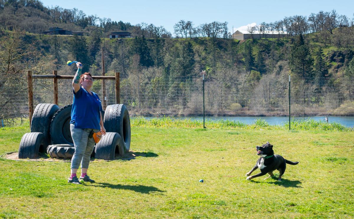 Saving Grace Pet Adoption Center Reopens With New Guidelines To Keep Staff Visitors Safe Amid Coronavirus Coronavirus Nrtoday Com