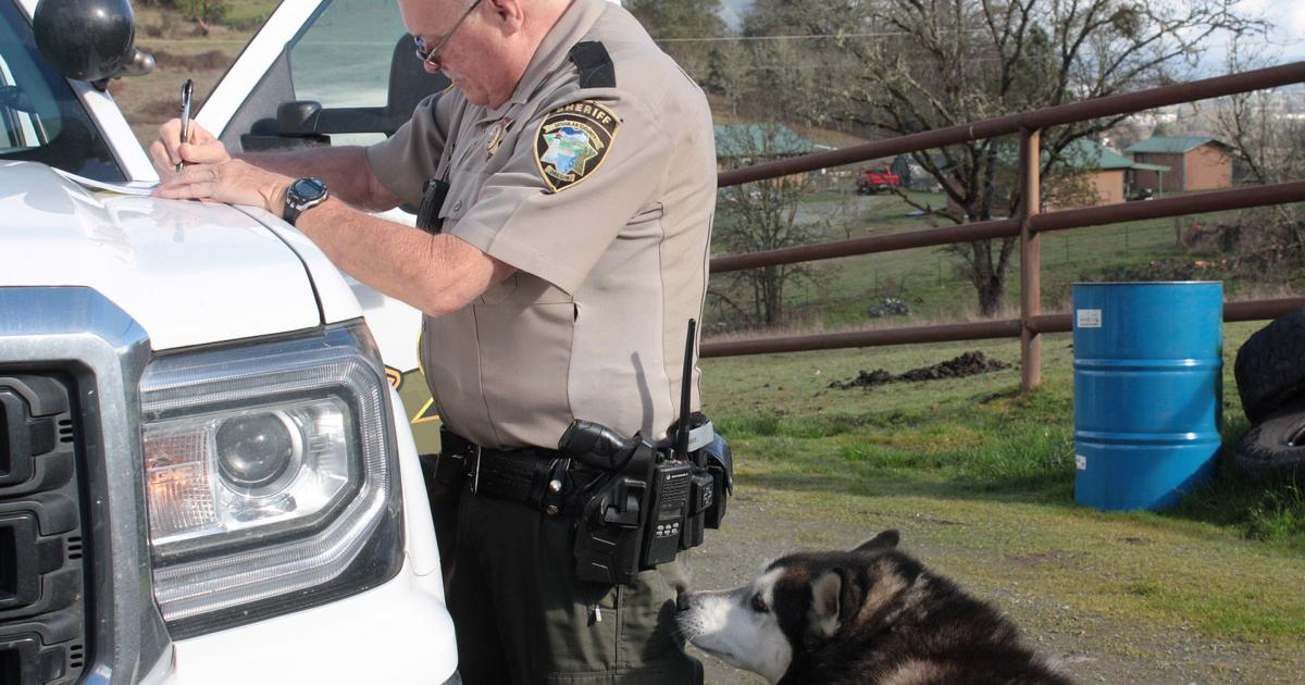 How Douglas County's lone animal control officer attempts to keep up with  his caseload | Public Safety 