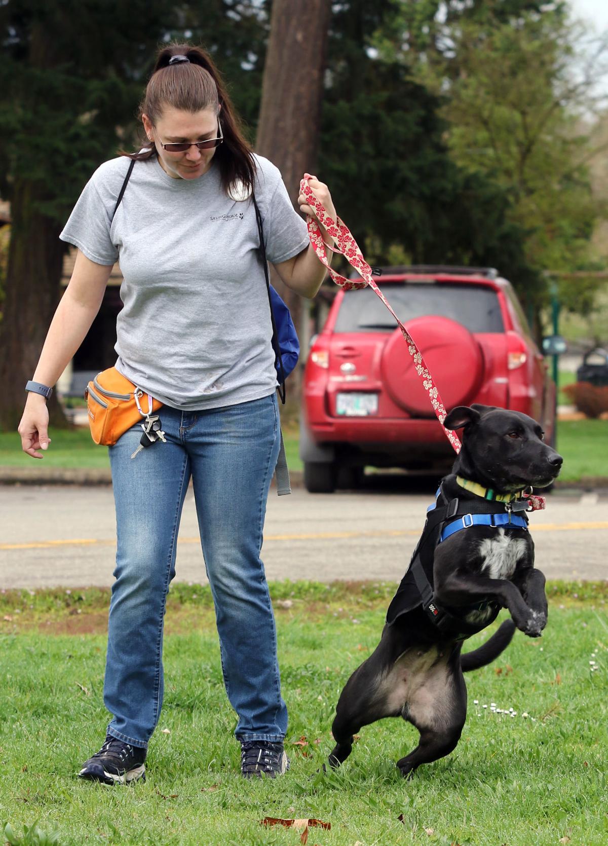 Saving Grace sends adoptable dogs on field trips Douglas County