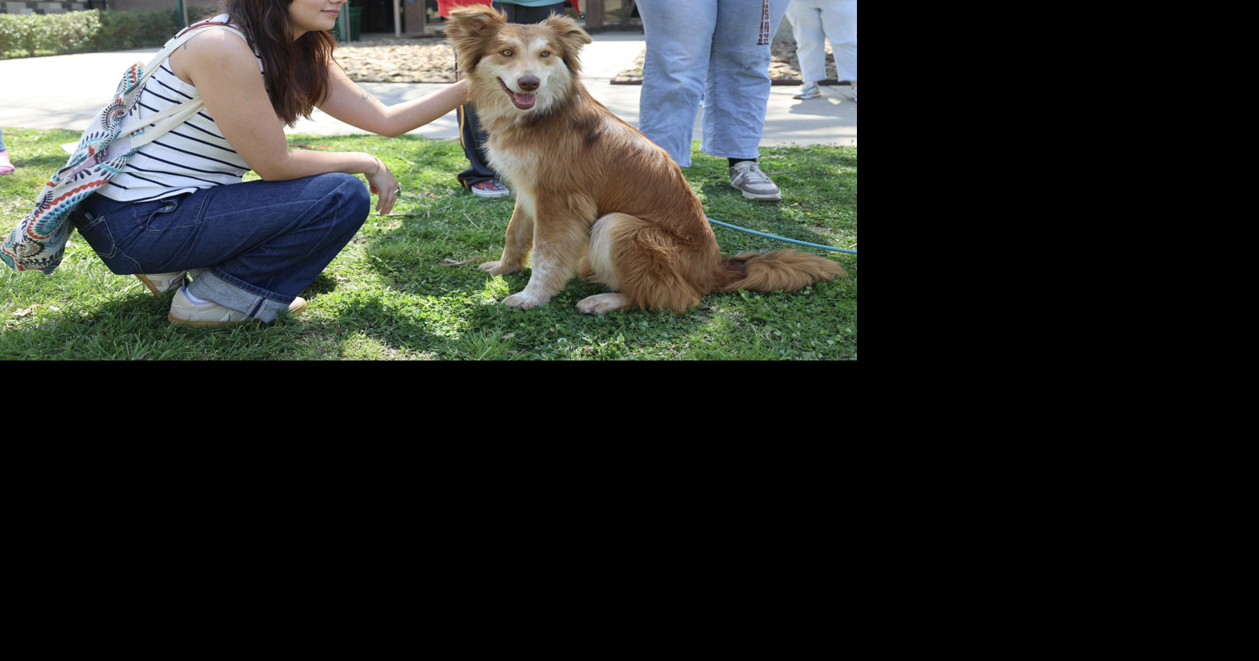 NSGA Wellness Week helps students thrive