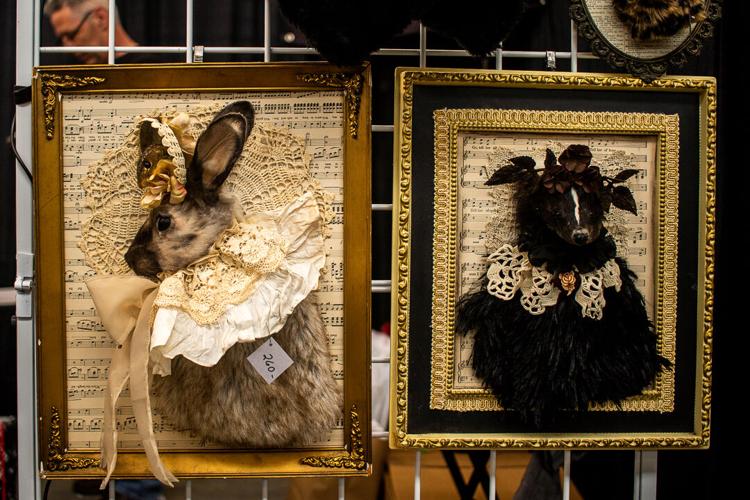 The Oddities and Curiosities Expo Entertainment