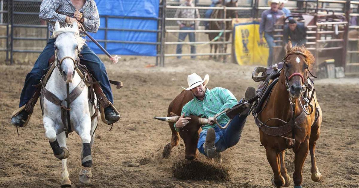Adams Rodeo Indiana Slideshow: Indiana State Fair's Rodeo | Multimedia | nuvo.net
