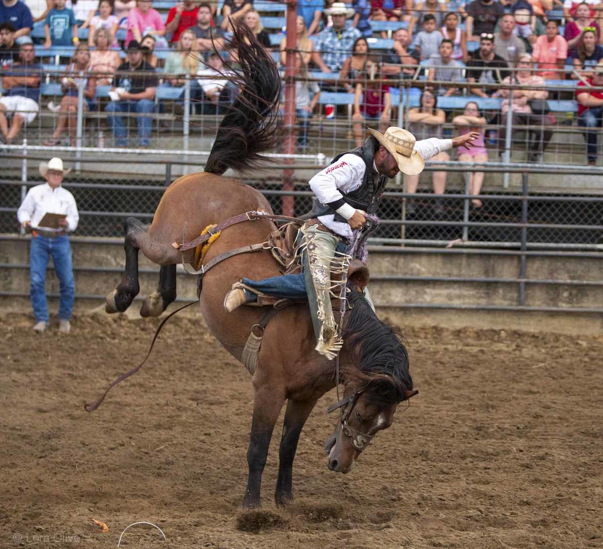 Slideshow Indiana State Fair's Rodeo Multimedia