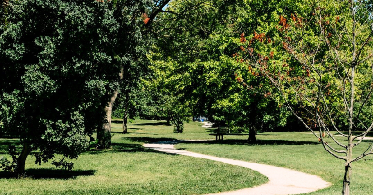 What's happening at Indy parks