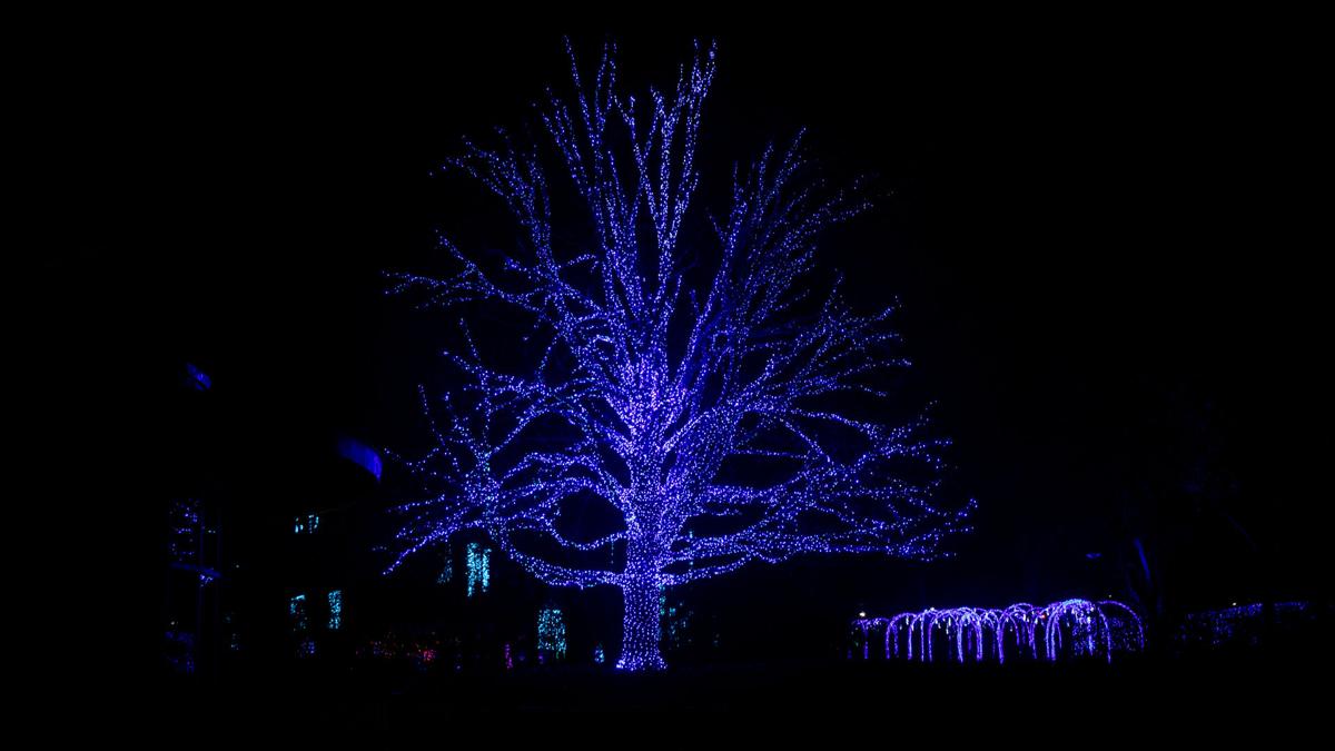Getting Into The Holiday Mood During Winterlights At Newfields