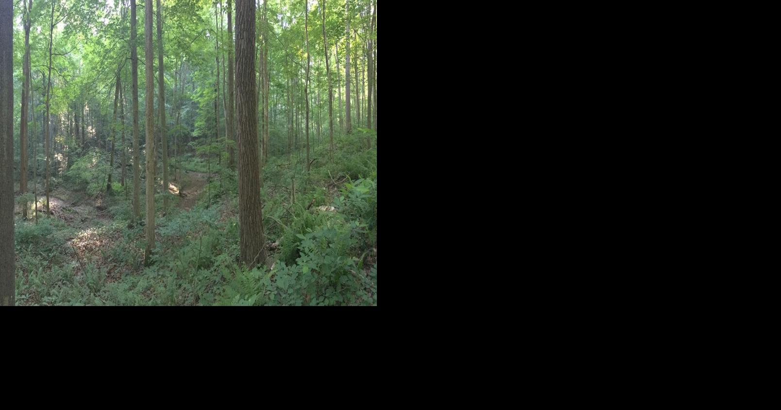 Time-traveling in Indiana | Environment