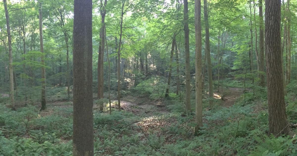 Time-traveling in Indiana | Environment Time-traveling in Indiana | Environment