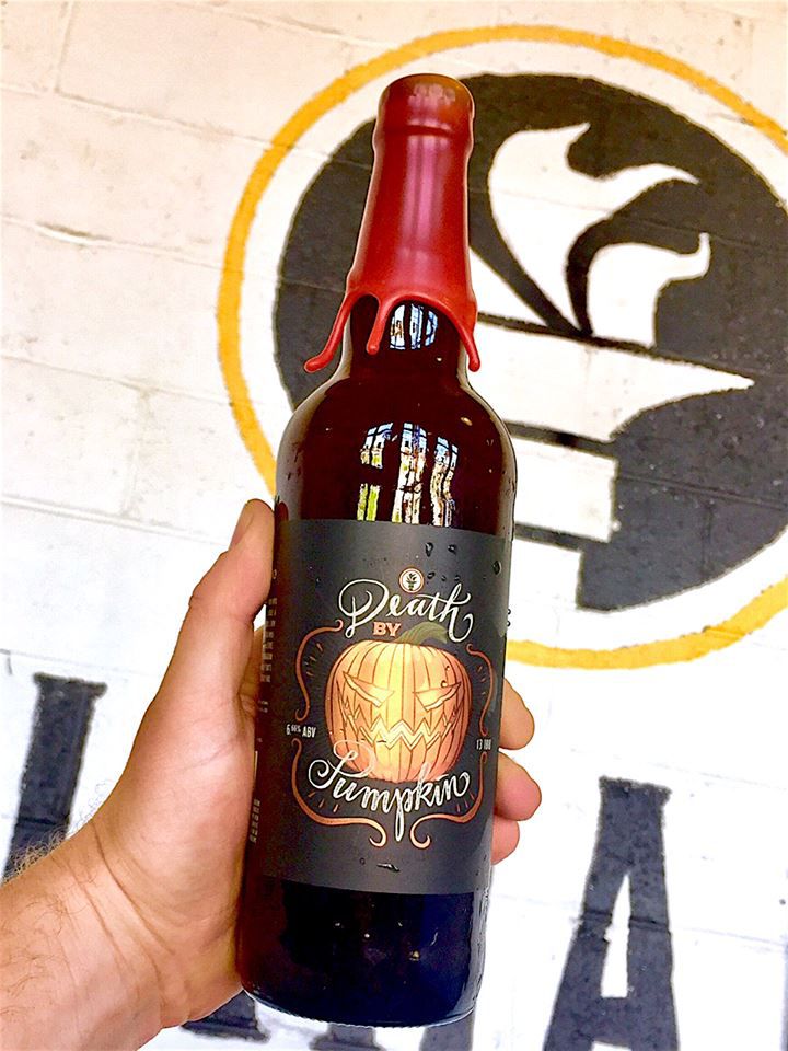 50 fall Indiana beers Pumpkin beers & brown ales Beerbuzz